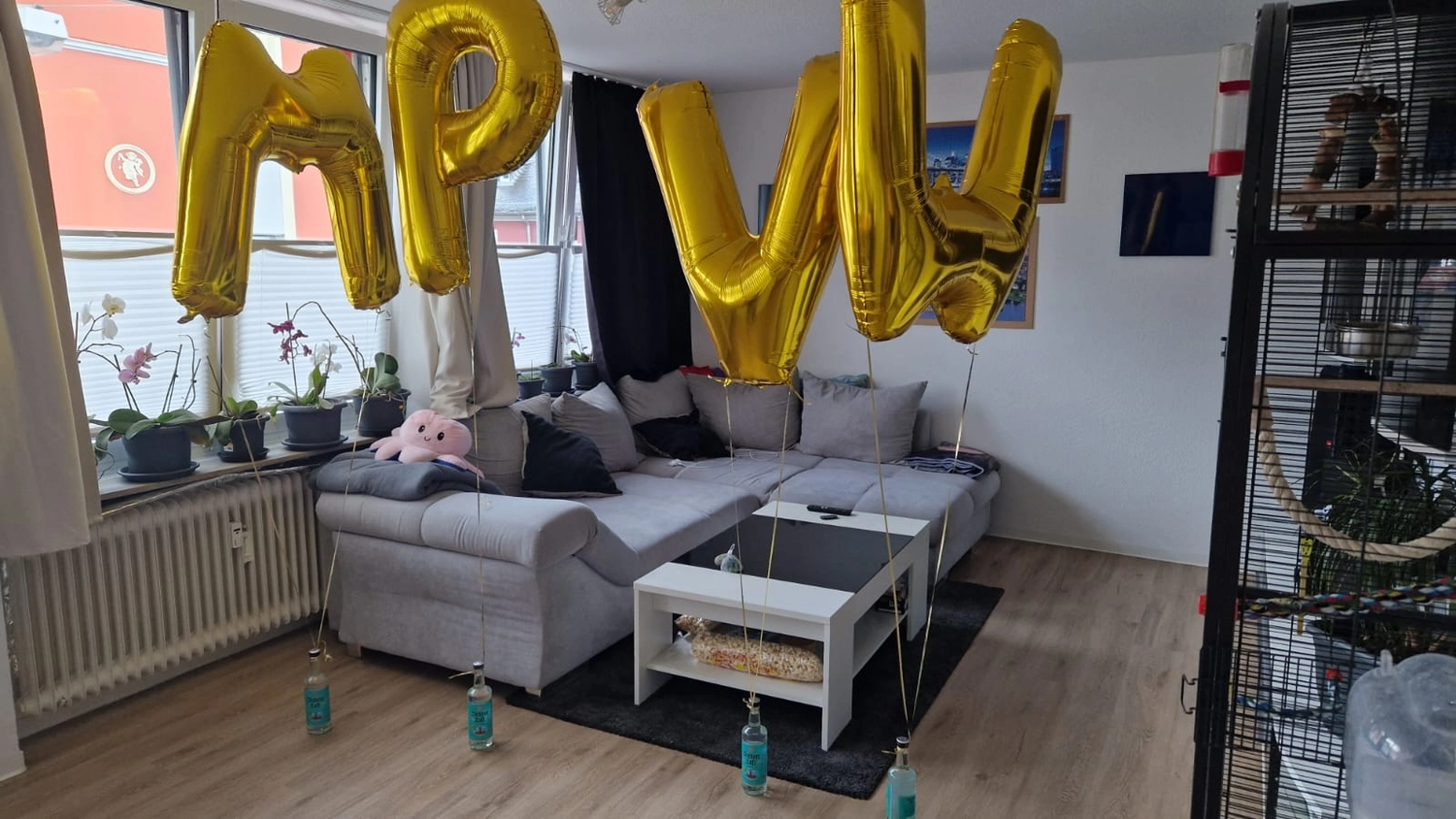 Mir Pääntz vom Wasserturm - Karnevalsverein - Ballon dekoriertes Wohnzimmer