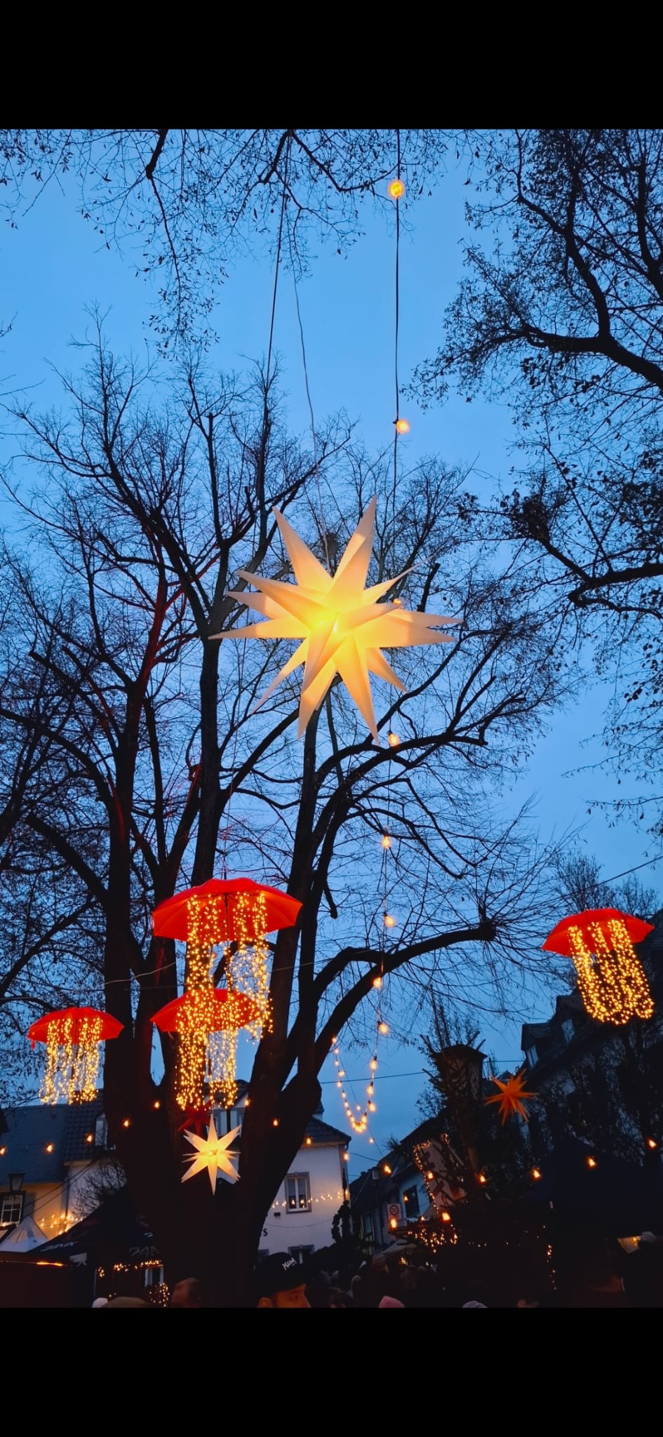 Mir Pääntz vom Wasserturm - Karnevalsverein - Veranstaltungen