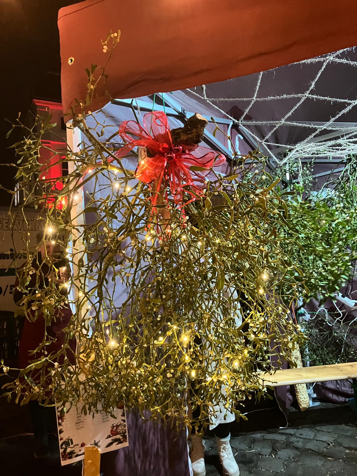 Mir Pääntz vom Wasserturm - Karnevalsverein - Veranstaltungen